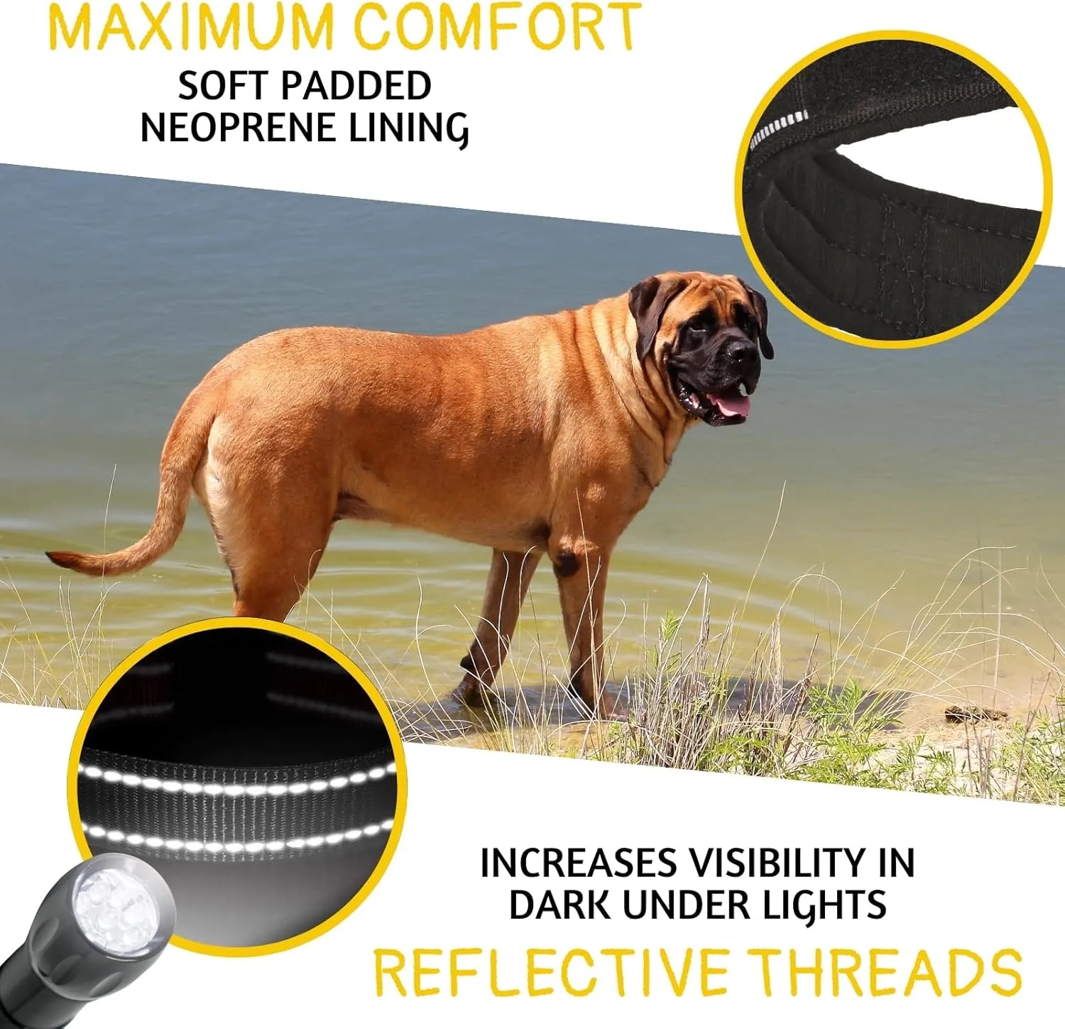 ADITYNA - Giant Dogs Collar - Adjustable XXL Collar 30 to 36 Inches - Designed Exclusively for Huge Dog Breeds Like Mastiff, Kangal, Saint Bernard - Heavy Duty Collar with Handle