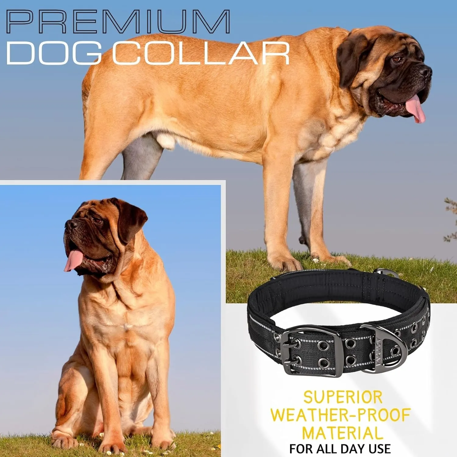 ADITYNA - Giant Dogs Collar - Adjustable XXL Collar 30 to 36 Inches - Designed Exclusively for Huge Dog Breeds Like Mastiff, Kangal, Saint Bernard - Heavy Duty Collar with Handle