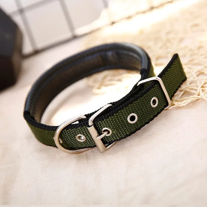 Adjustable Soft Pet Collars
