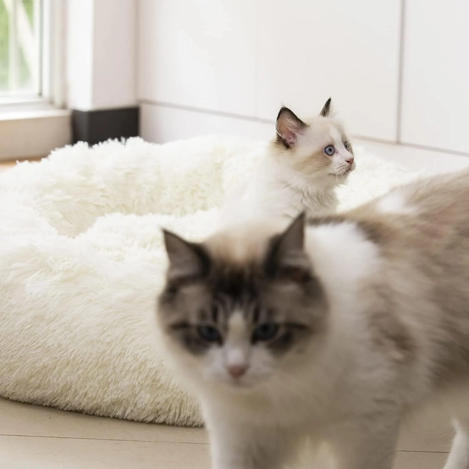 Anti Anxiety round Fluffy Dog & Cat Bed