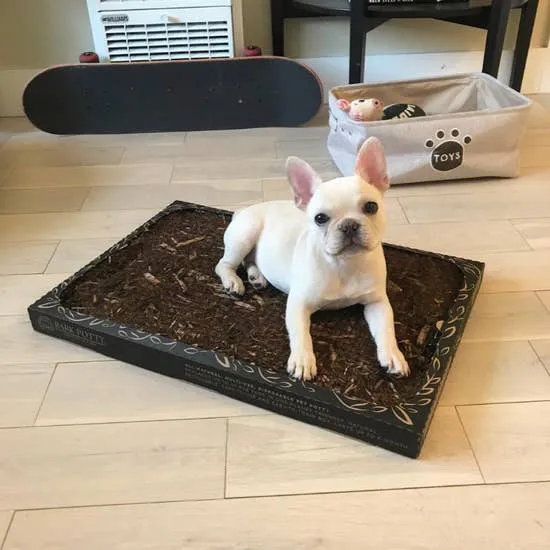 Bark Potty - Eco Friendly Pee Pad