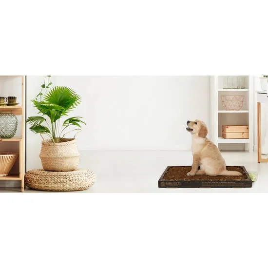 Bark Potty - Eco Friendly Pee Pad