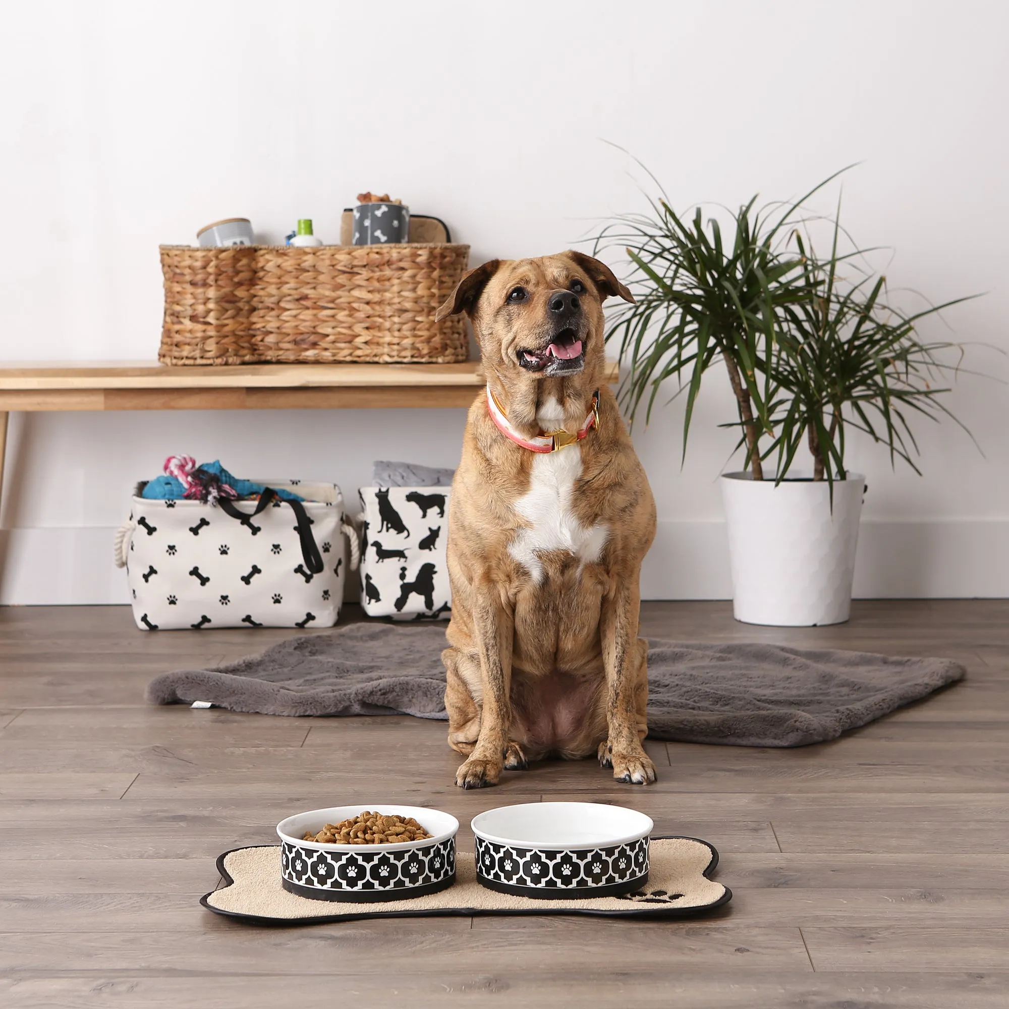 Black Lattice Paw Print Pet Bowl Set of 2, Large 3.75 C. Capacity