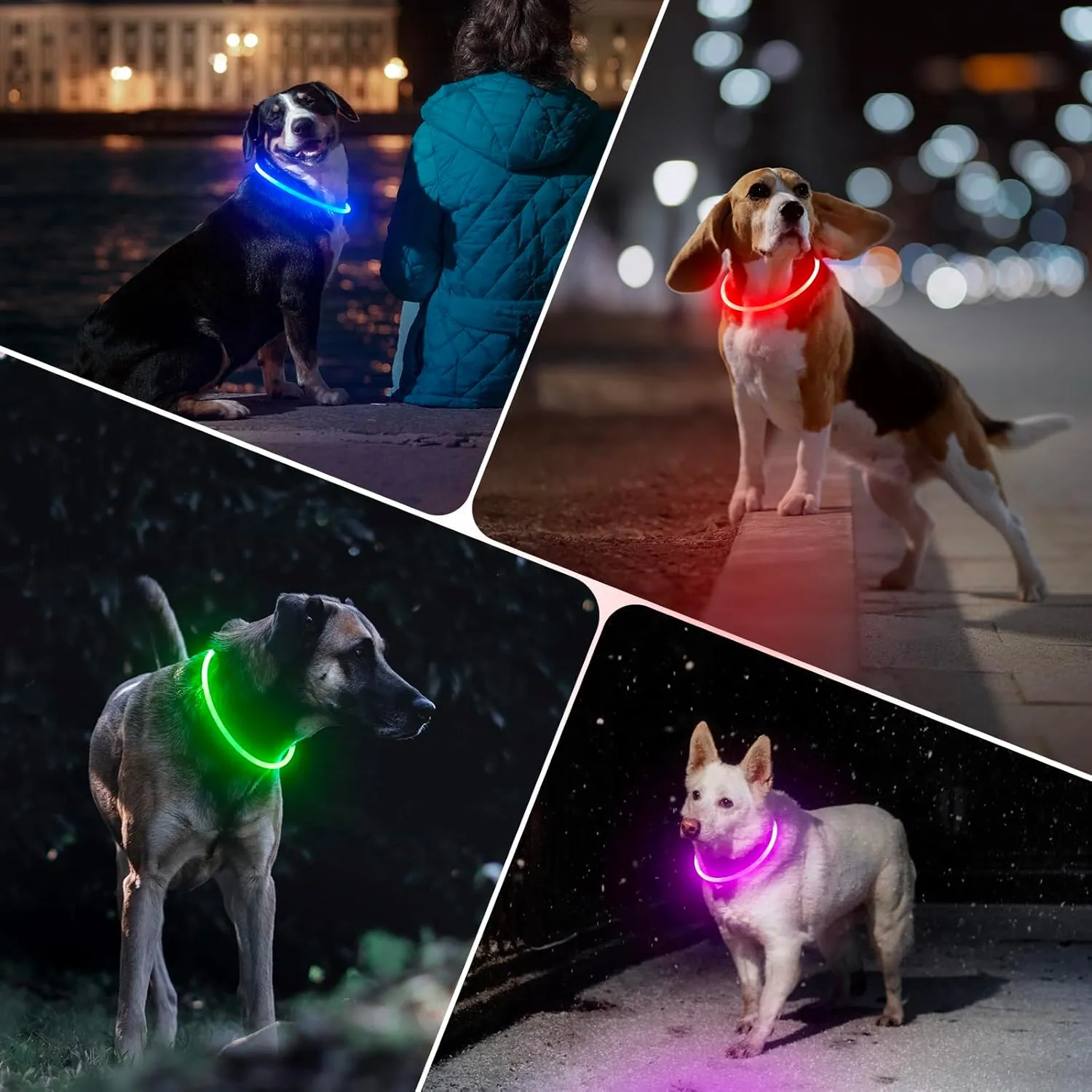 BSEEN Light Up Dog Collar - 360 Visible Rainproof LED Dog Collar Rechargeable - TPU Cuttable Glowing Pet Collar for Small Medium Large Dogs - Safety Dog Lights for Night Walking& Camping (Blue 70cm)