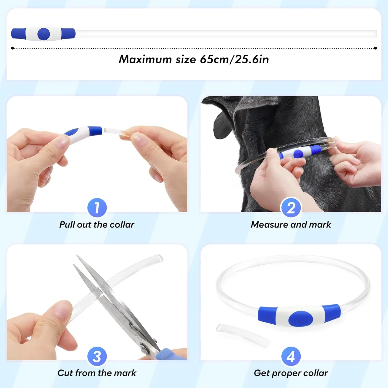 BSEEN Light Up Dog Collar - 360 Visible Rainproof LED Dog Collar Rechargeable - TPU Cuttable Glowing Pet Collar for Small Medium Large Dogs - Safety Dog Lights for Night Walking& Camping (Blue 70cm)