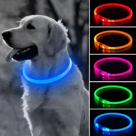 BSEEN Light Up Dog Collar - 360 Visible Rainproof LED Dog Collar Rechargeable - TPU Cuttable Glowing Pet Collar for Small Medium Large Dogs - Safety Dog Lights for Night Walking& Camping (Blue 70cm)
