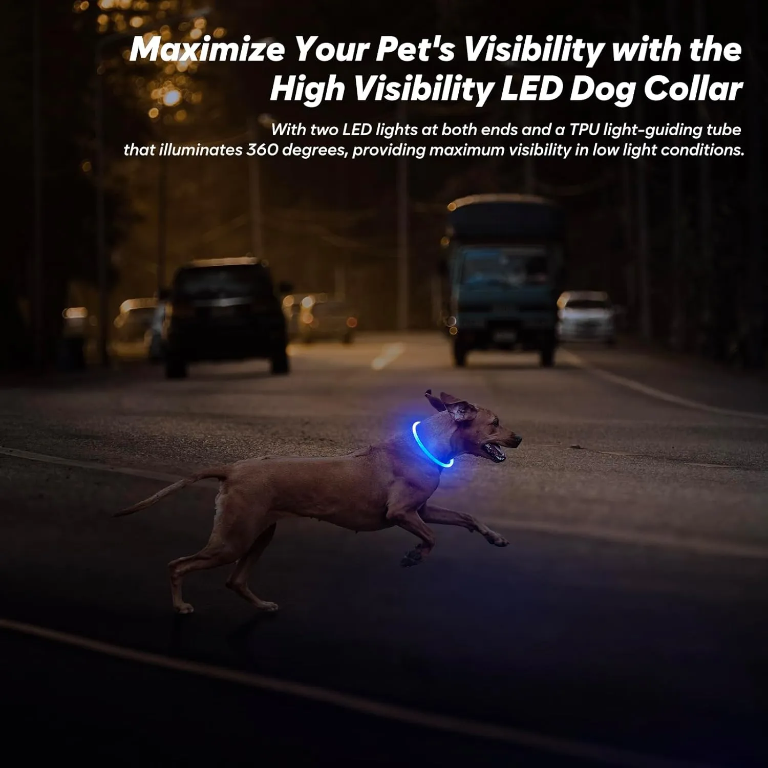 BSEEN Light Up Dog Collar - 360 Visible Rainproof LED Dog Collar Rechargeable - TPU Cuttable Glowing Pet Collar for Small Medium Large Dogs - Safety Dog Lights for Night Walking& Camping (Blue 70cm)