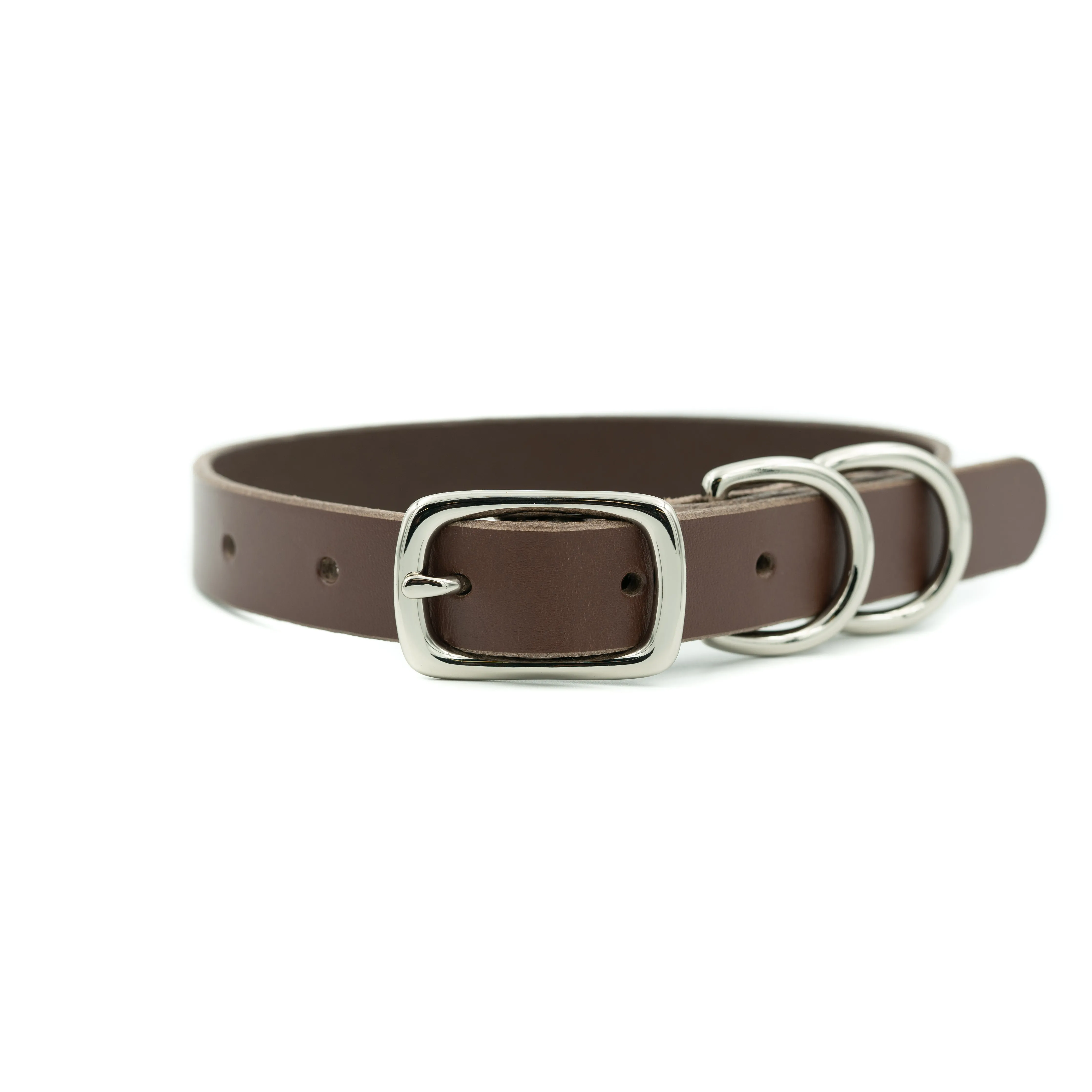 Canine Collar