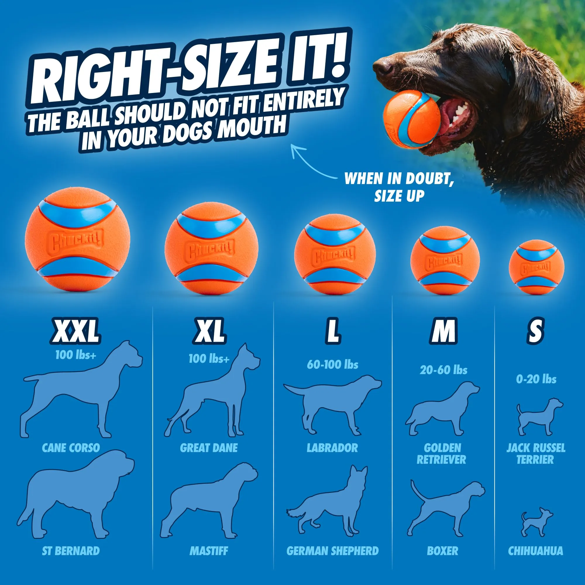 Chuckit! Ultra Ball, 2X-Large (4 Inch), 1 Count