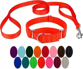 Country Brook Petz - Hot Orange Martingale Heavyduty Nylon Dog Collar and Double Handle Leash (1 Inch, Large)