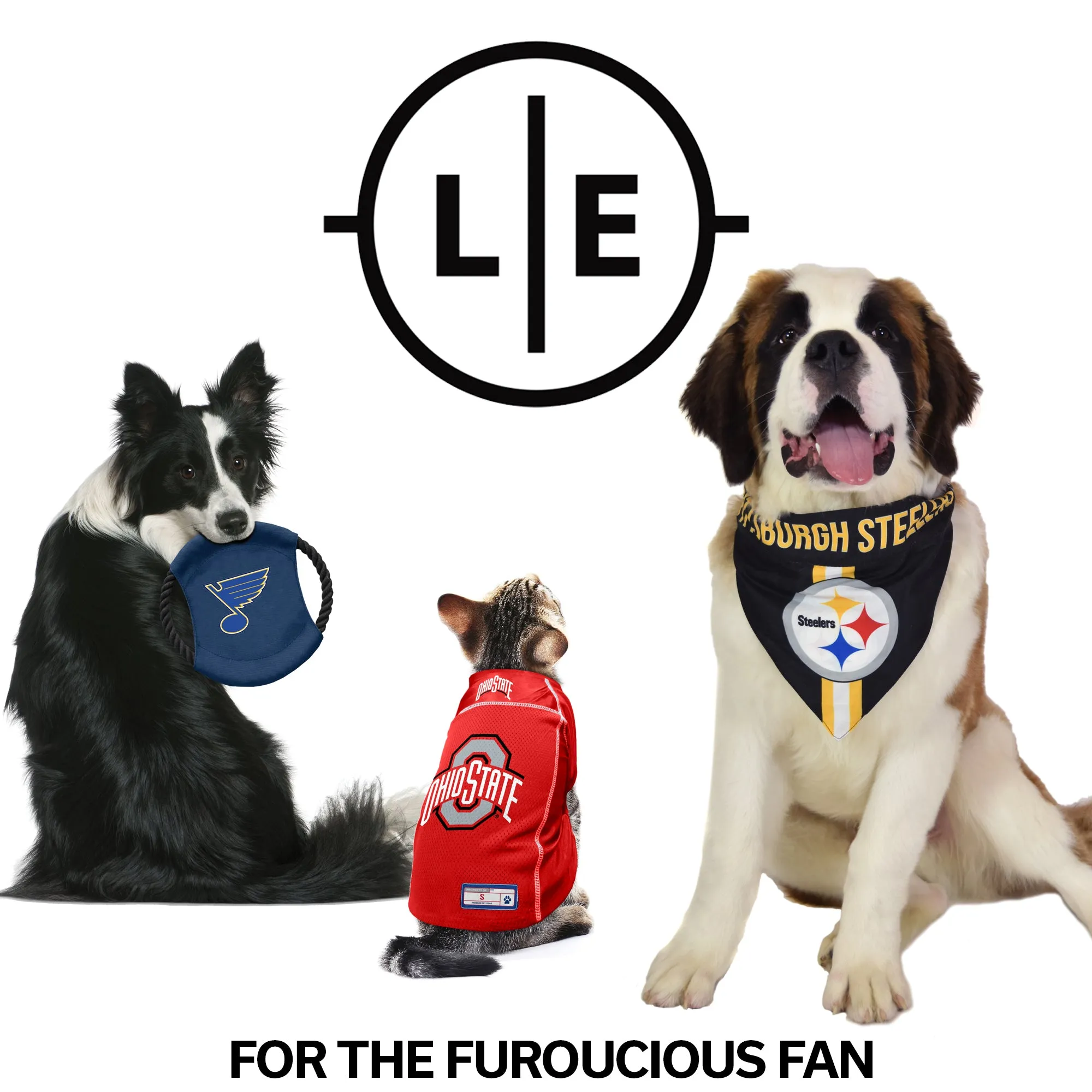 Detroit Lions Team Sock Monkey Pet Toy