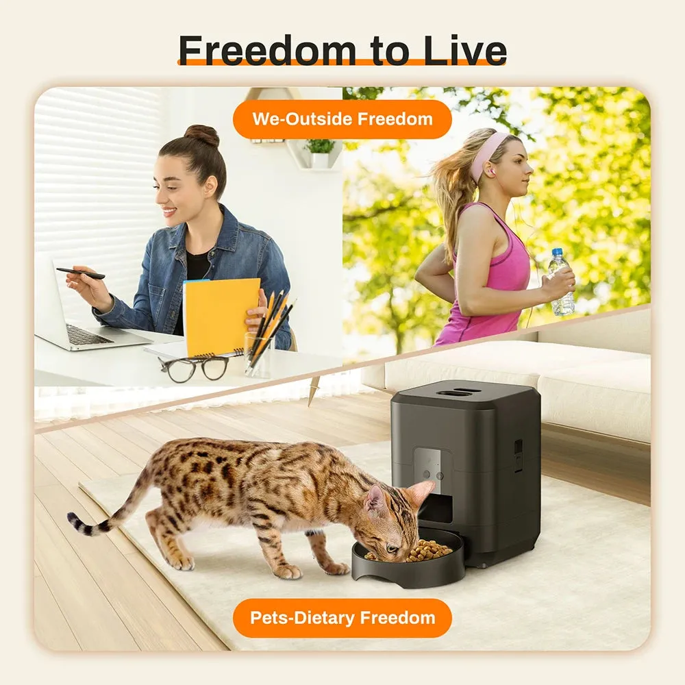 Dog Food Automatic Dispenser