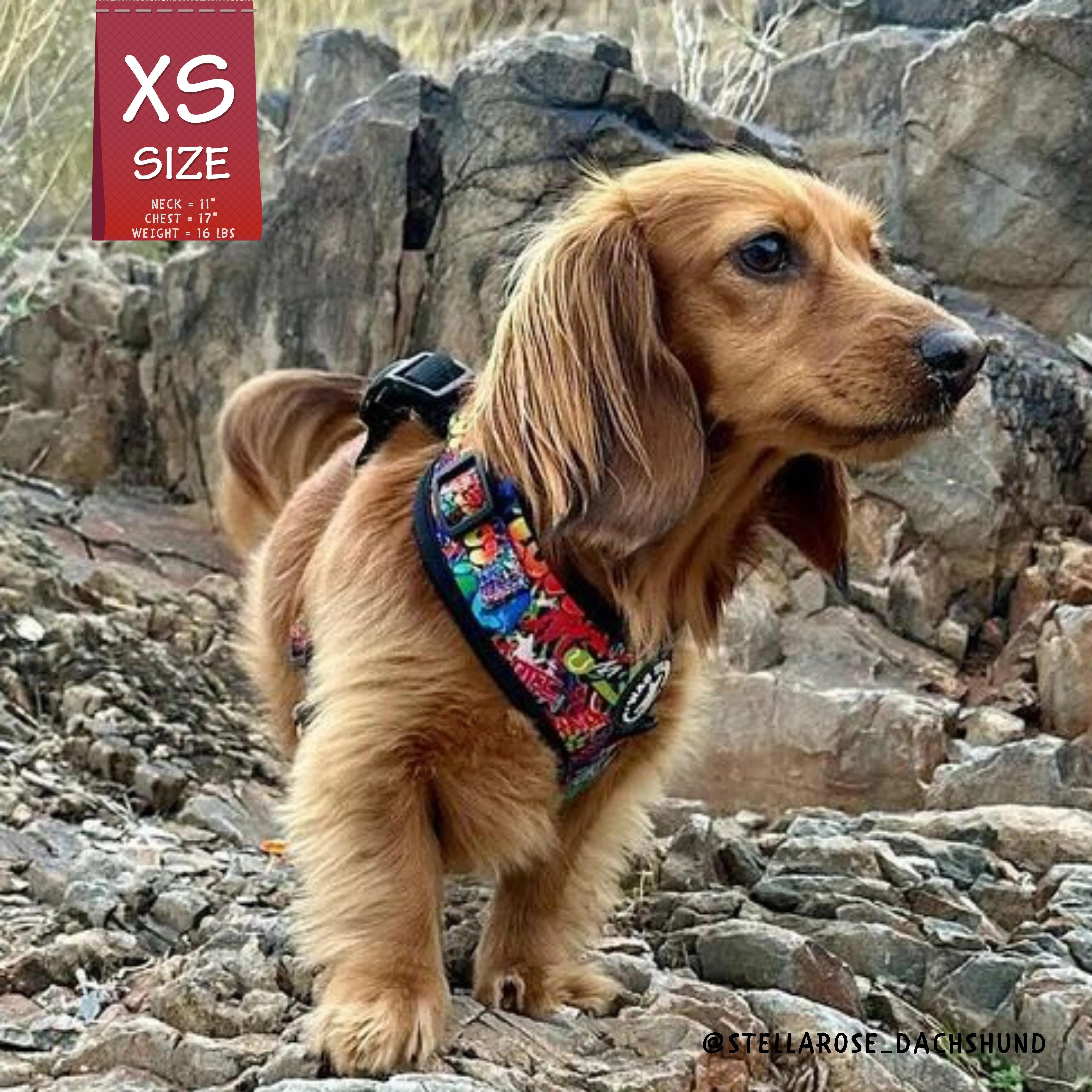 Dog Harness and Leash Set | Street Graffiti
