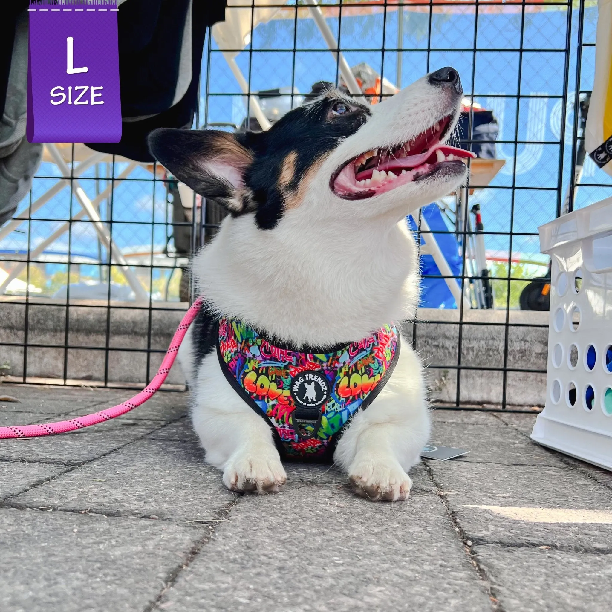 Dog Harness and Leash Set | Street Graffiti