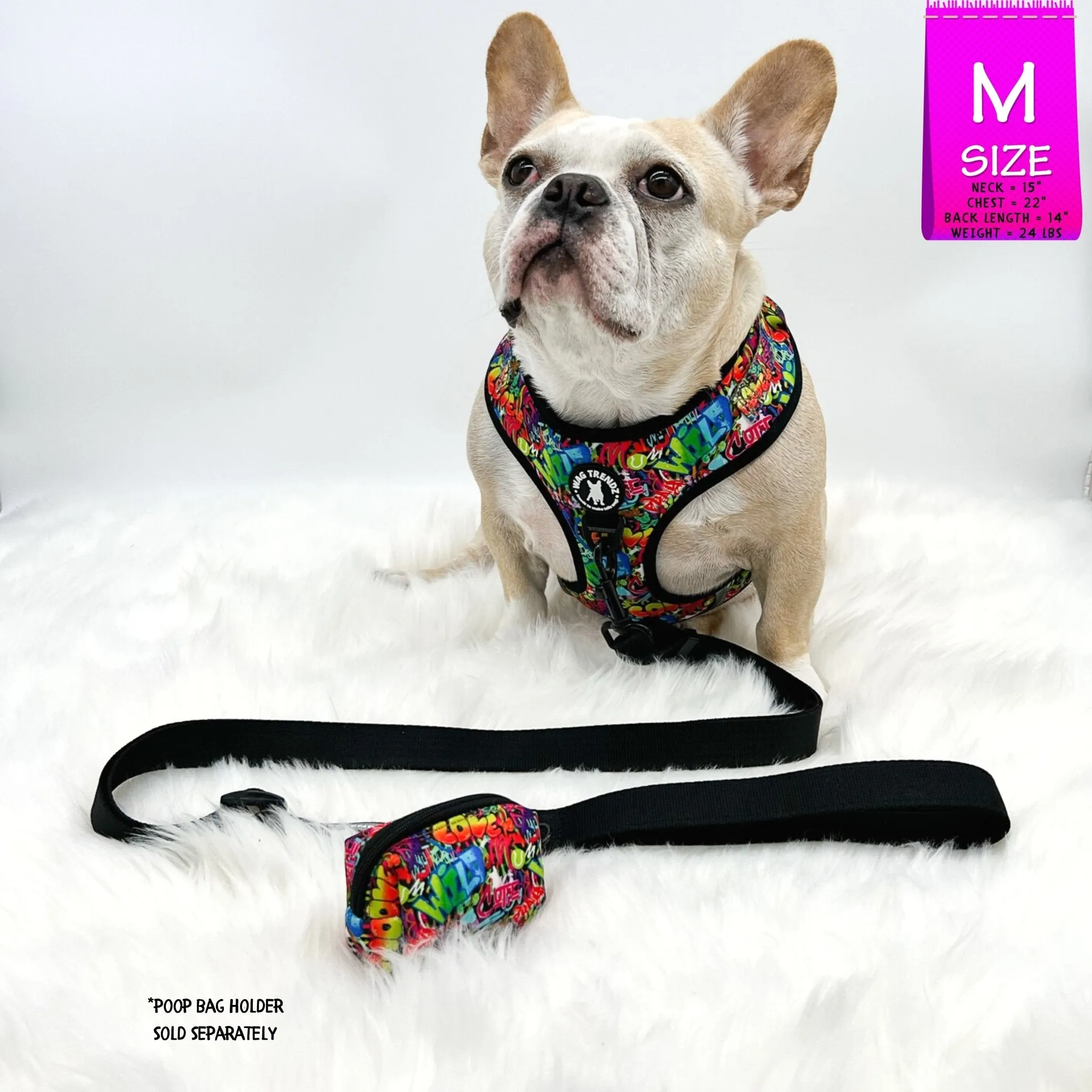 Dog Harness and Leash Set | Street Graffiti