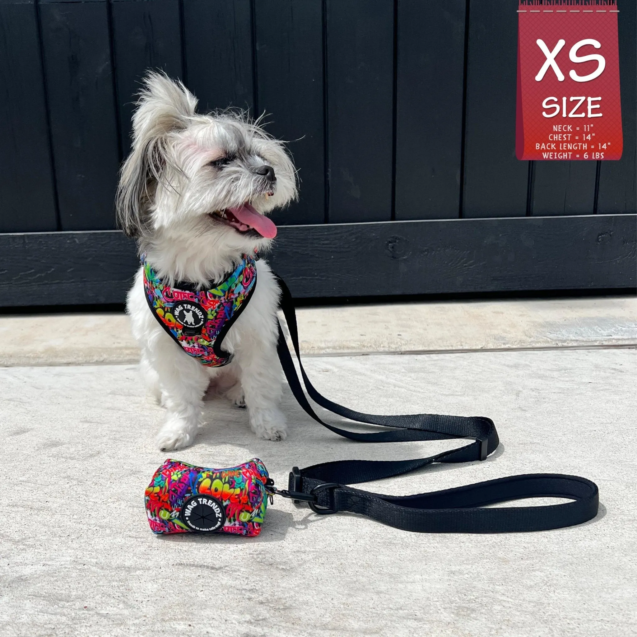 Dog Harness and Leash Set | Street Graffiti