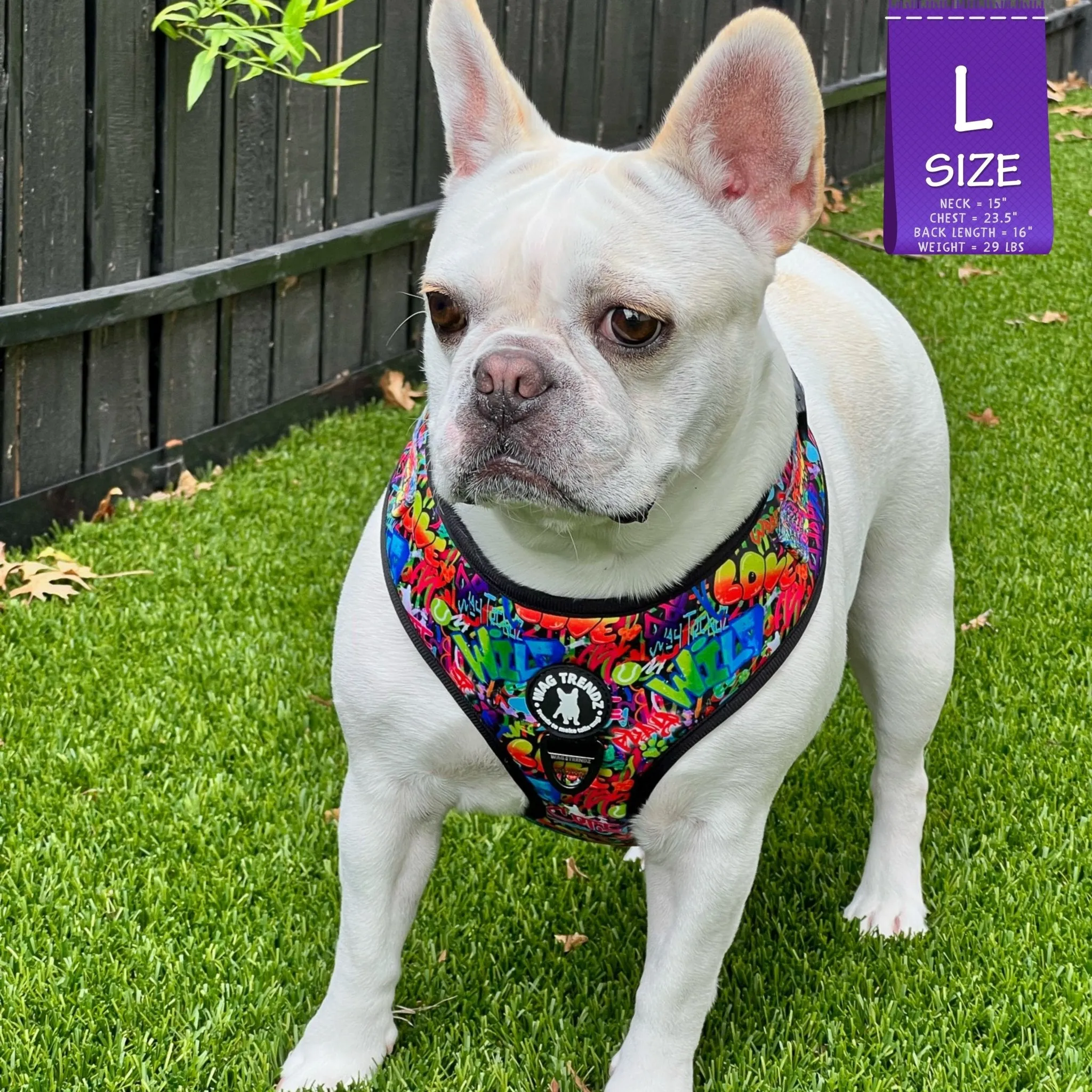 Dog Harness and Leash Set | Street Graffiti