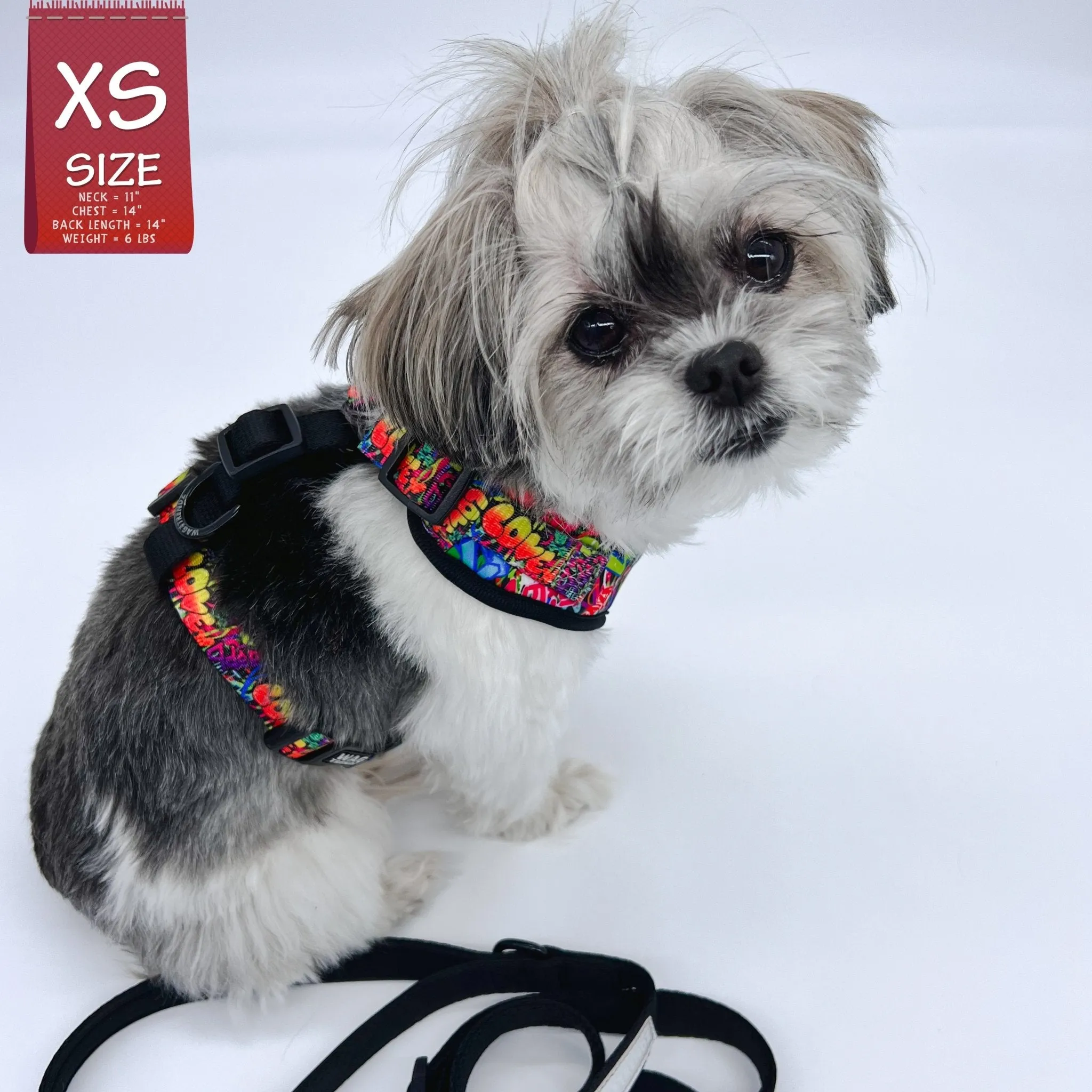 Dog Harness and Leash Set | Street Graffiti