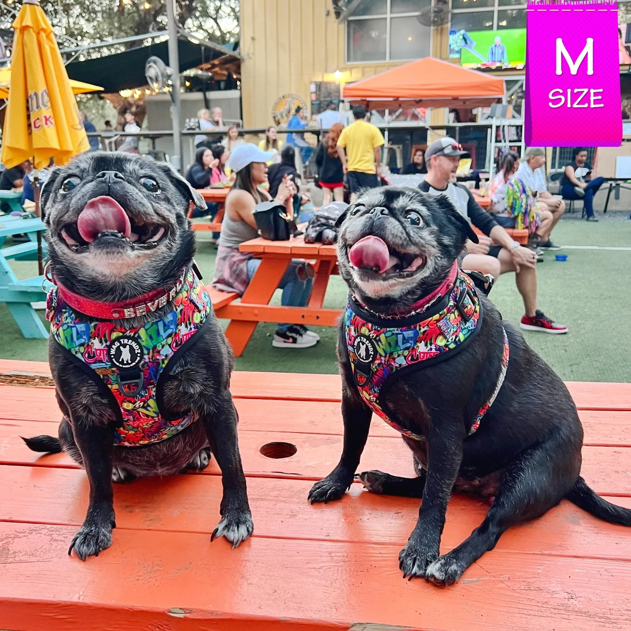Dog Harness and Leash Set | Street Graffiti