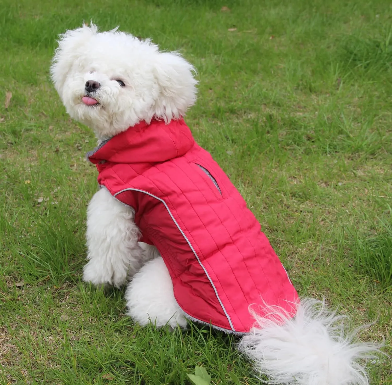 Fleece Dog Hoodie for Small Dogs Super Warm Puppy Jacket for Cold Winter Dog Coats,Red XS