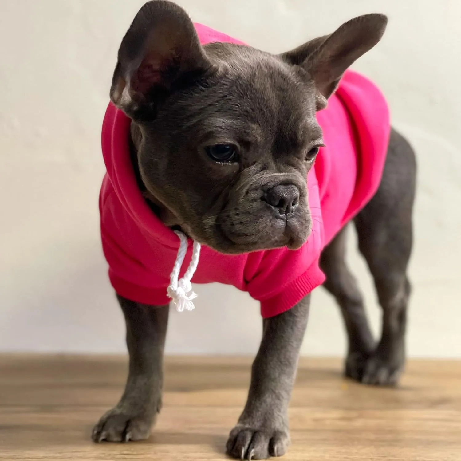 Free Hugs Valentine's Day Dog Hoodie Fleece Lined Pullover Sweatshirt with Leash Hole (Red, Large 379)