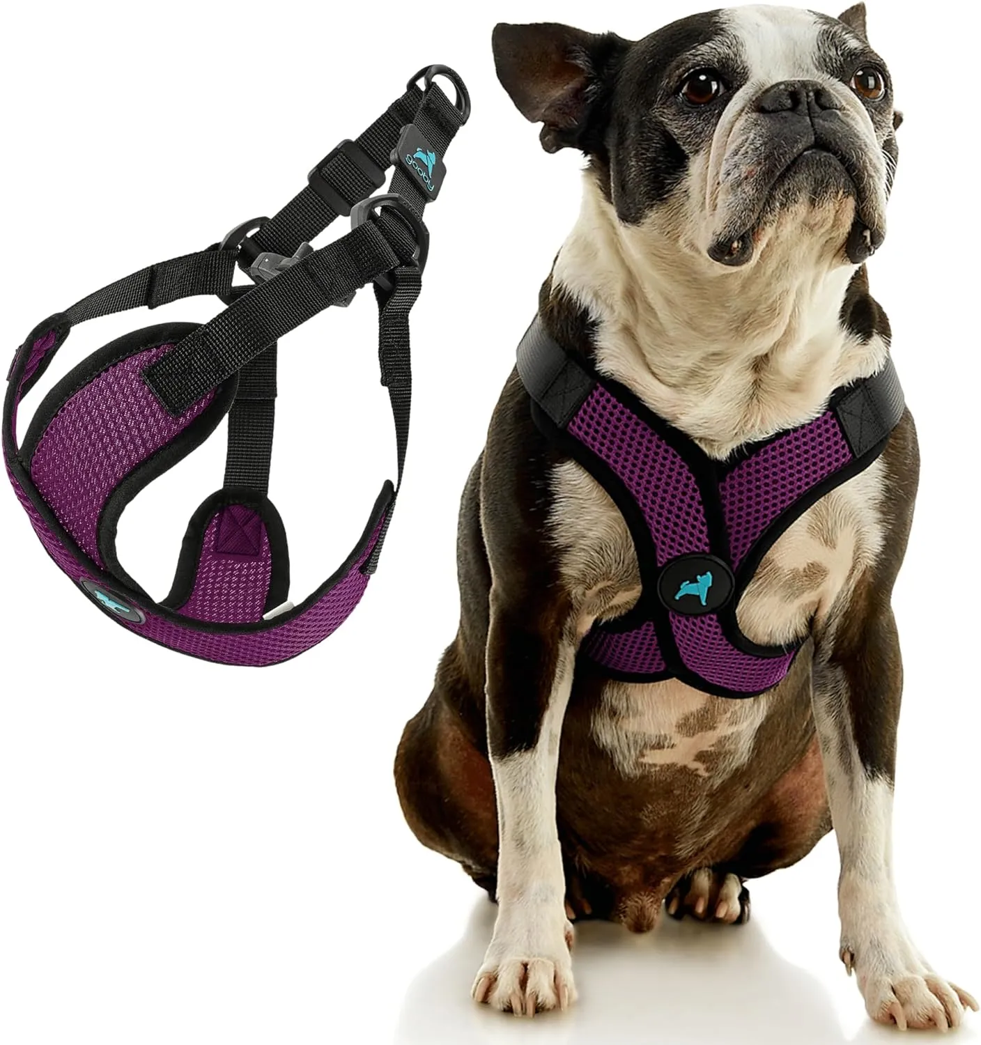 Gooby Comfort X Step in Lite Dog Harness - Choke Free, Escape Free with Light Breathable Mesh - Step in Dog Harness for Small and Medium Dogs - Quick Release Buckle, Metal D-Rings - Purple, X-Small
