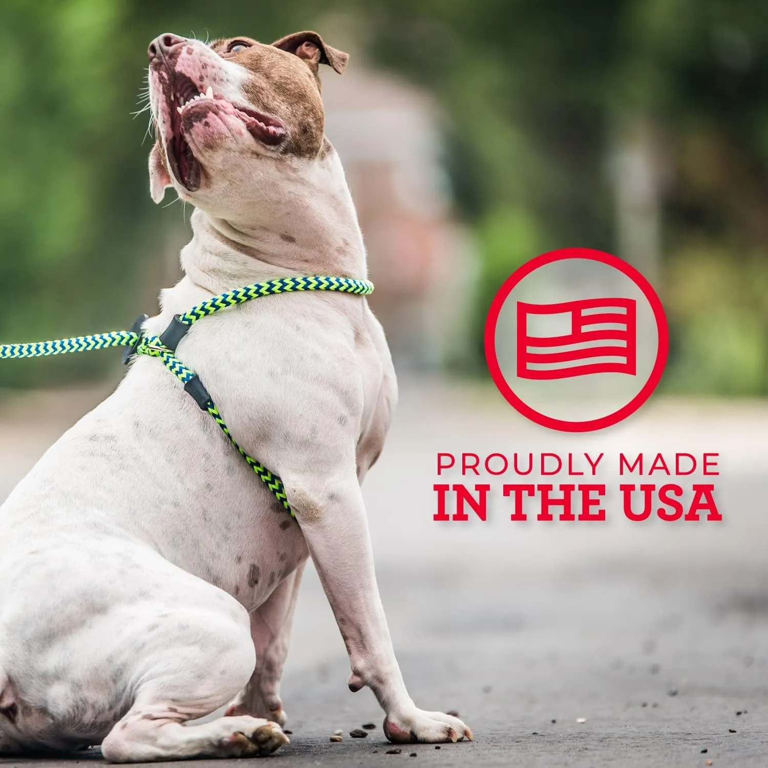 Harness Lead No Pull Dog Harness and Leash Set, Anti Pull Dog Harness for All Breeds and Sizes, One-Piece Cushioned Rope Design Safely Prevents Escaping and Pulling (Medium/Large, Orange/Reflective)