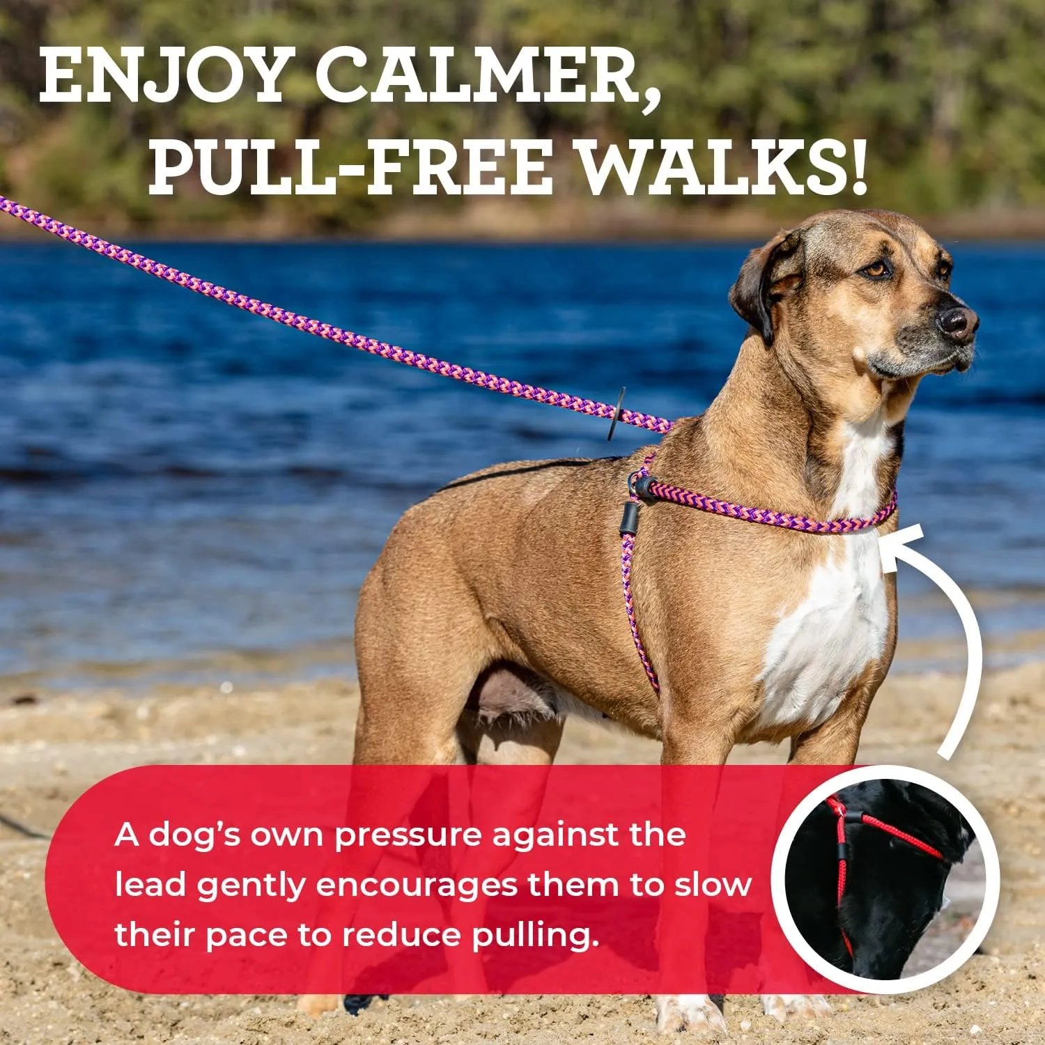 Harness Lead No Pull Dog Harness and Leash Set, Anti Pull Dog Harness for All Breeds and Sizes, One-Piece Cushioned Rope Design Safely Prevents Escaping and Pulling (Medium/Large, Orange/Reflective)