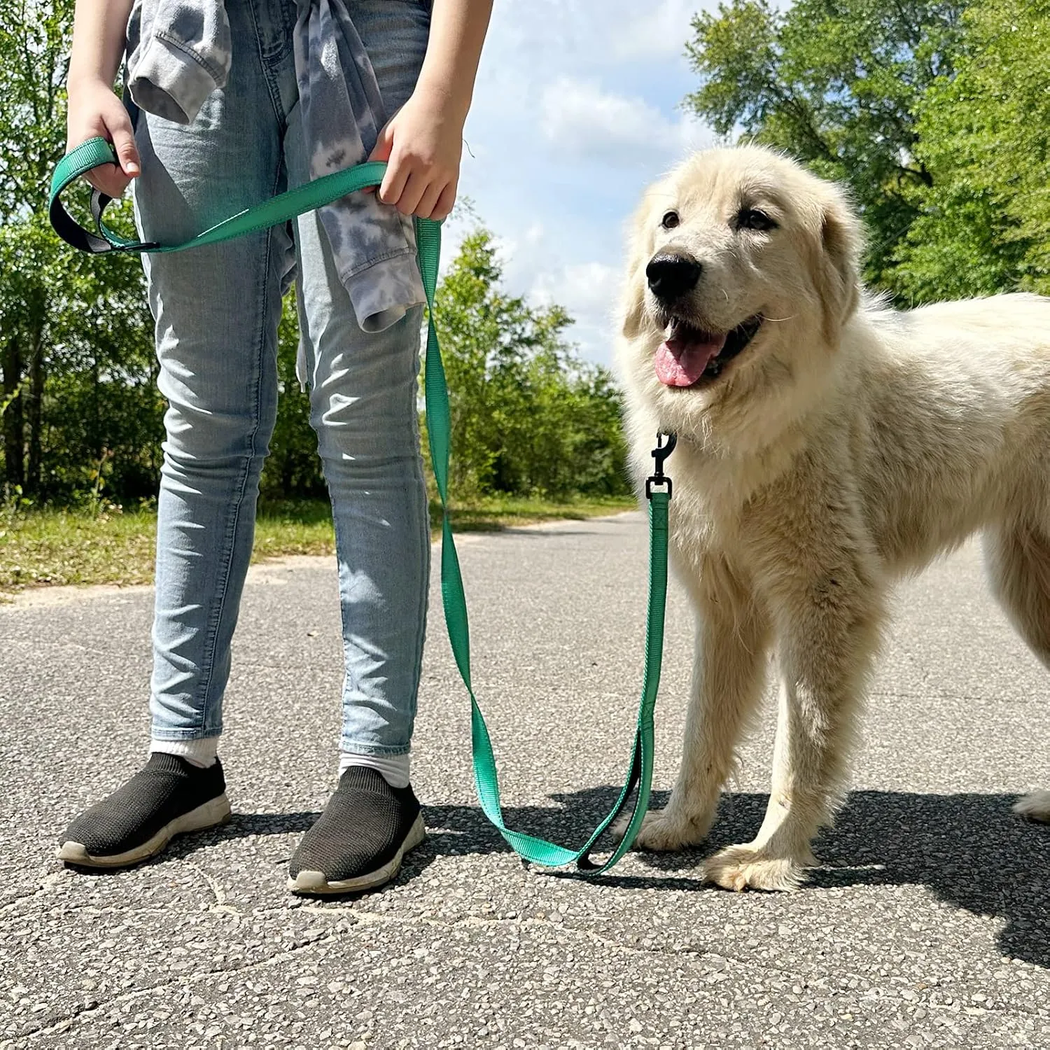 Joytale Dog Leash Heavy Duty for Large Dogs That Pull, Double Handle for Traffic Control, Double-Sided Reflective Leashes for Large Medium Dogs Night Safety, 6FT, Teal