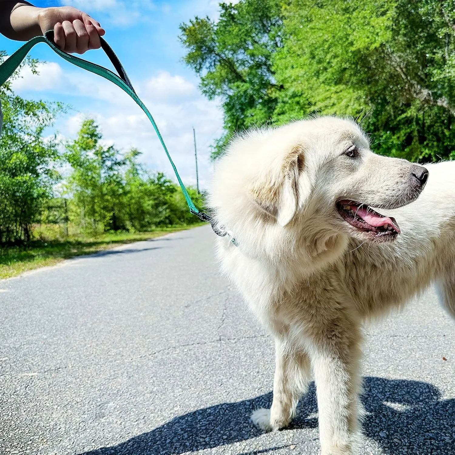 Joytale Dog Leash Heavy Duty for Large Dogs That Pull, Double Handle for Traffic Control, Double-Sided Reflective Leashes for Large Medium Dogs Night Safety, 6FT, Teal