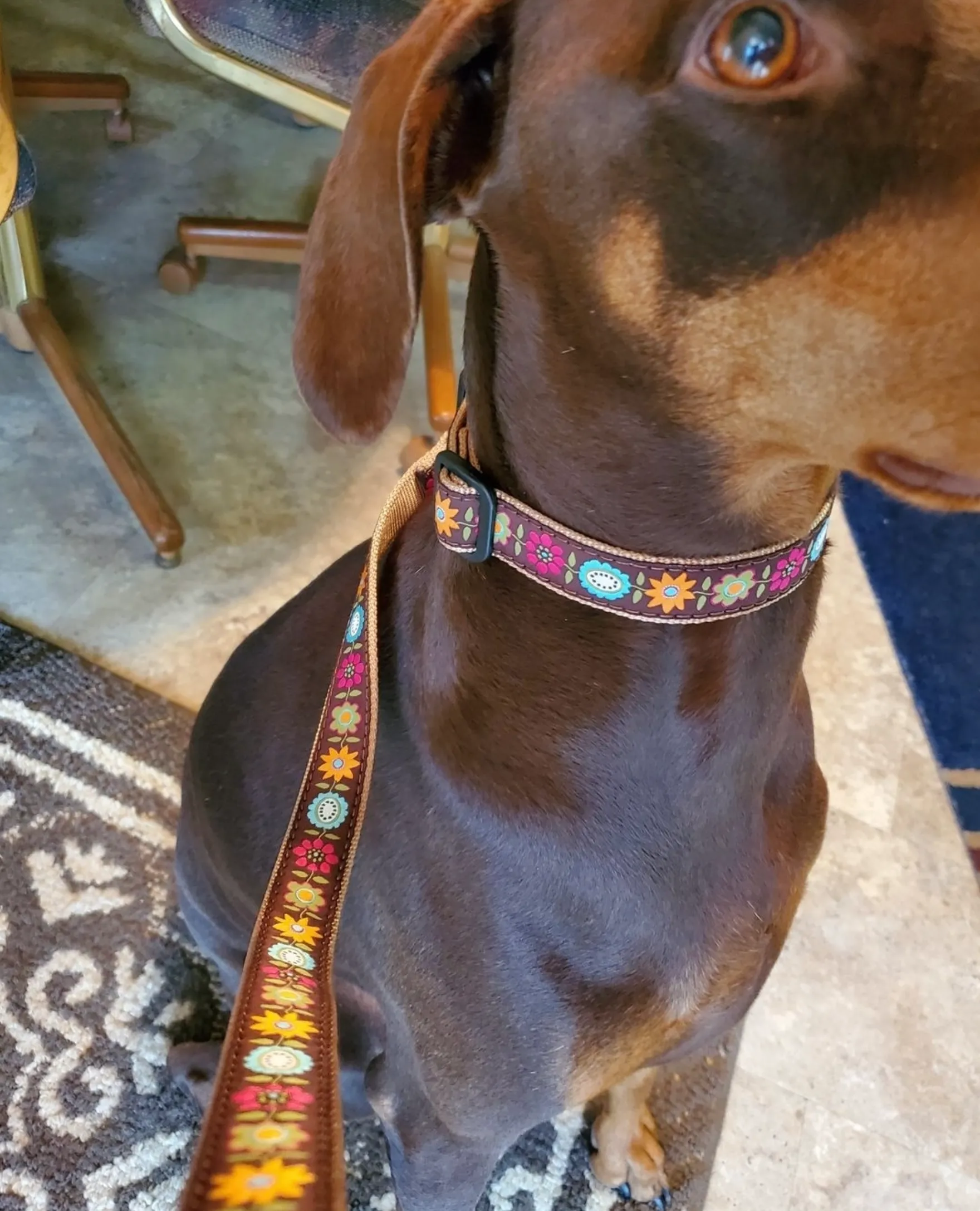 Leash | Bella Floral