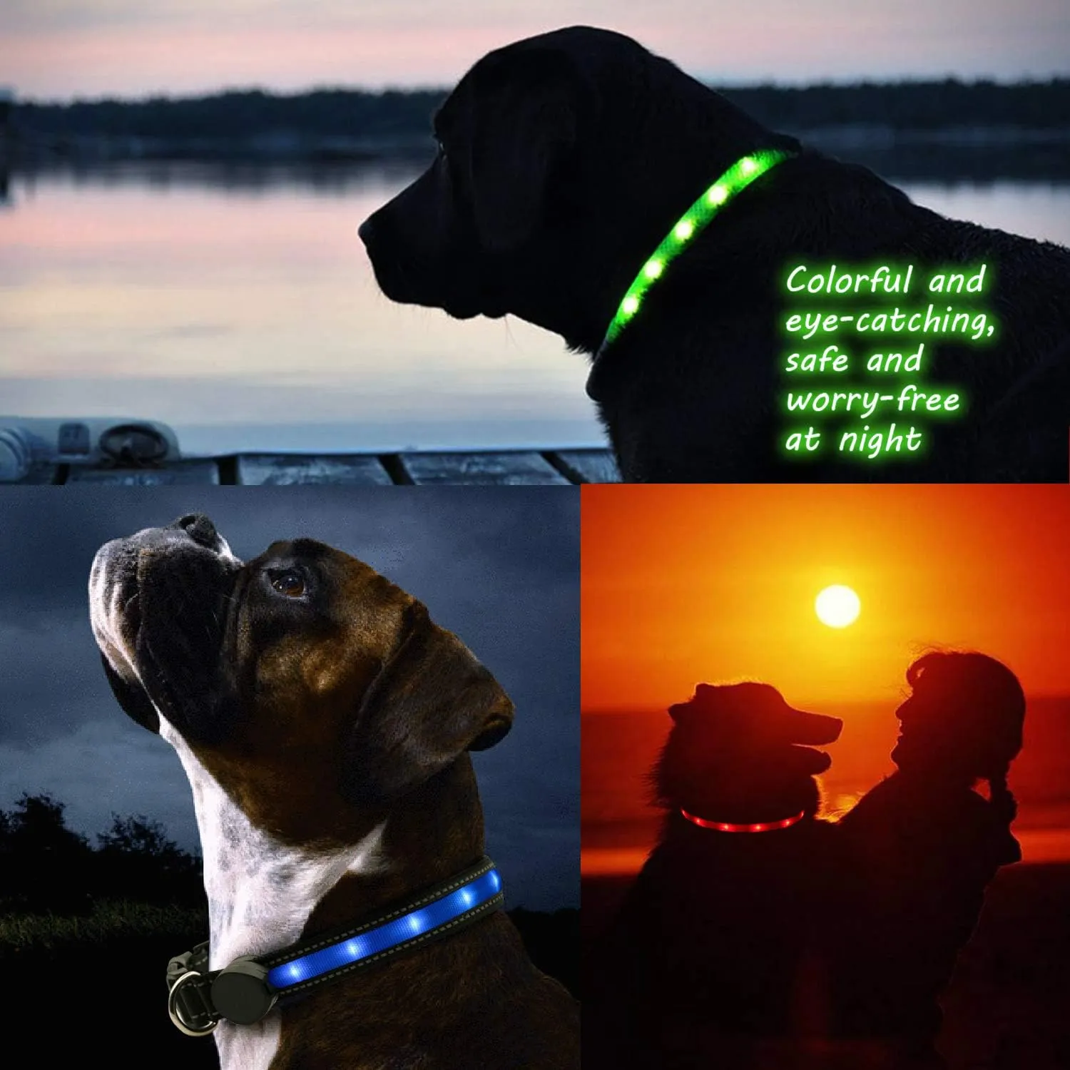 Light Up Dog Collar, Safety LED Dog Collars Rechargeable 7 Colors in One Lighted Dog Collar Glow in The Dark Dog Walking Light, Neon Durable Nylon Adjustable Buckle for Small/Medium/Large Dogs, M Size