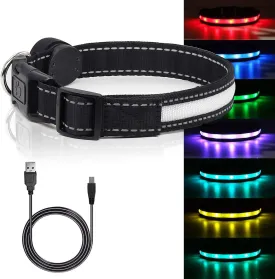 Light Up Dog Collar, Safety LED Dog Collars Rechargeable 7 Colors in One Lighted Dog Collar Glow in The Dark Dog Walking Light, Neon Durable Nylon Adjustable Buckle for Small/Medium/Large Dogs, M Size