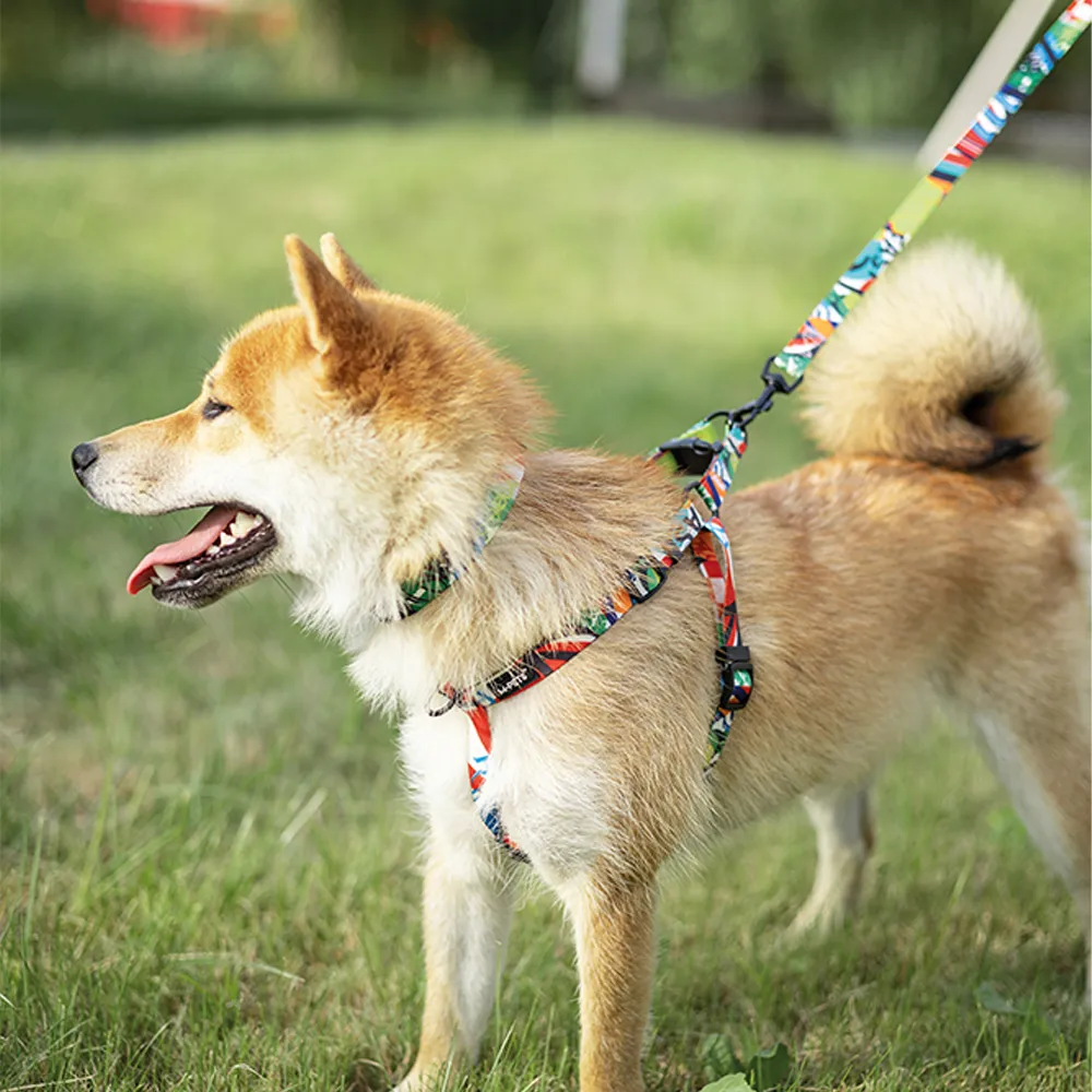M-PETS Freestyle Leash