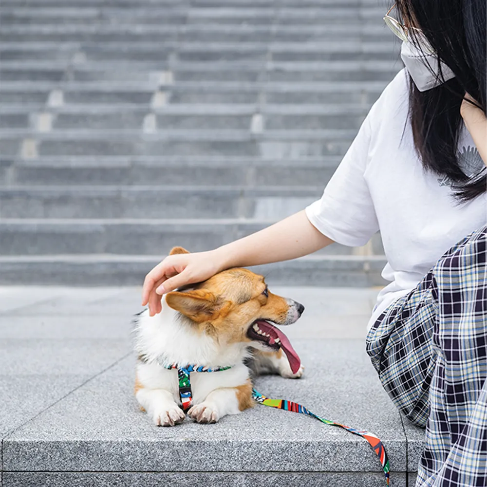 M-PETS Freestyle Leash
