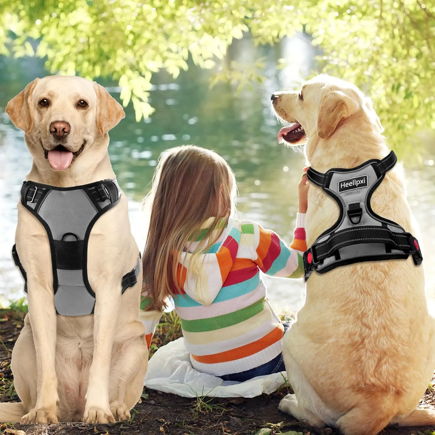 No Pull Dog Harness with A Free Heavy Duty 5FT Dog Leash, Adjustable Soft Padded Dog Vest with Easy-Control Handle, Reflective No-Choke Pet Oxford Vest for Medium Dogs (Grey,M)