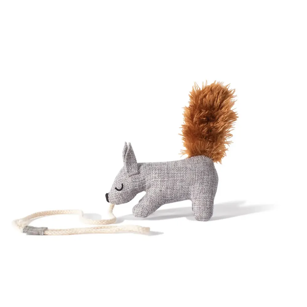 Pet Toys