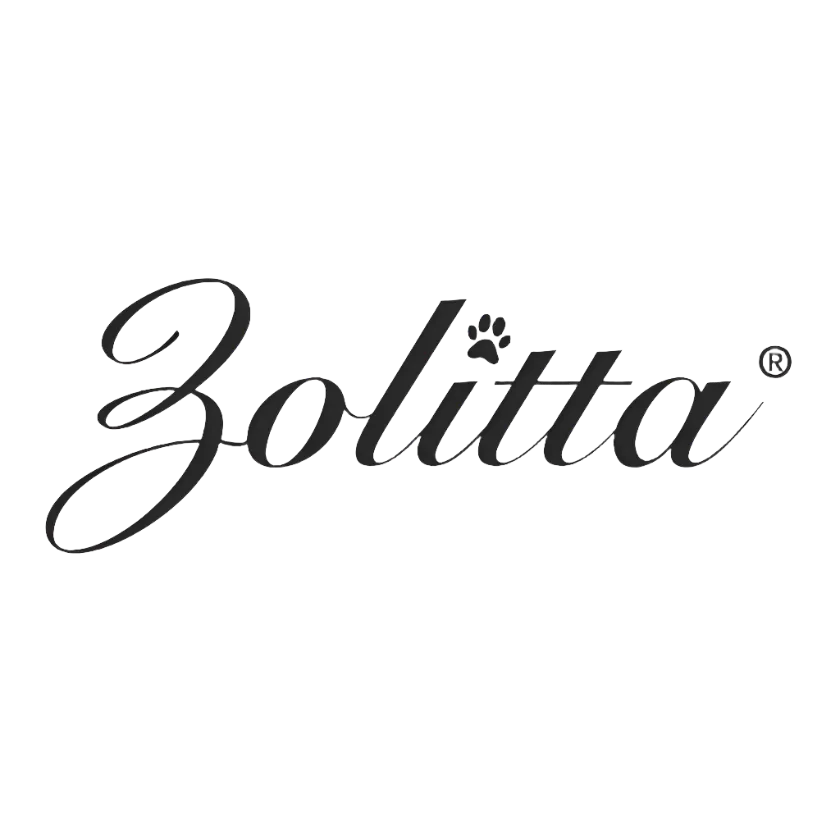 Plastic Handle Large Slicker Brush Blue by Zolitta