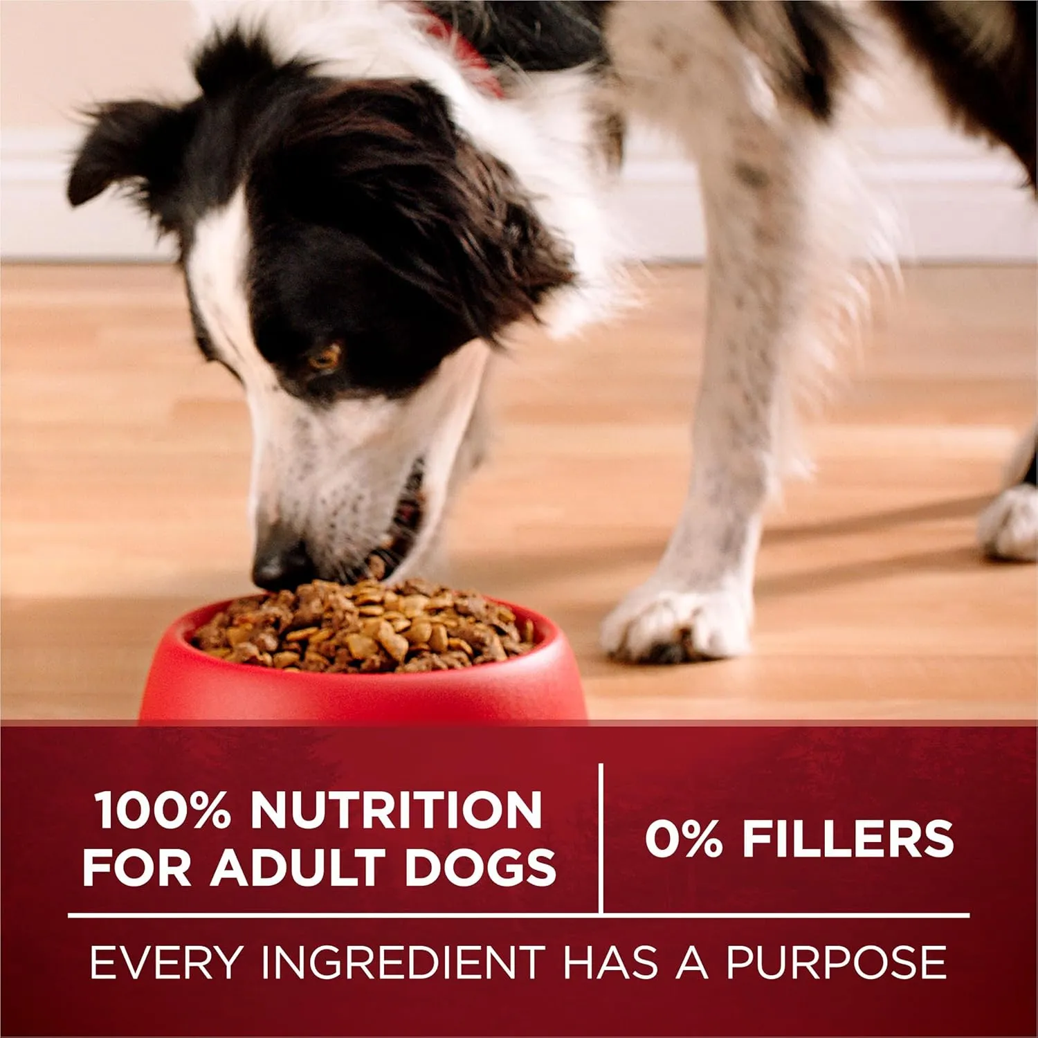 Purina ONE Grain Free Natural High Protein Dry Dog Food Formula True Instinct with Real Beef with Added Vitamins, Minerals and Nutrients - 25 lb. Bag