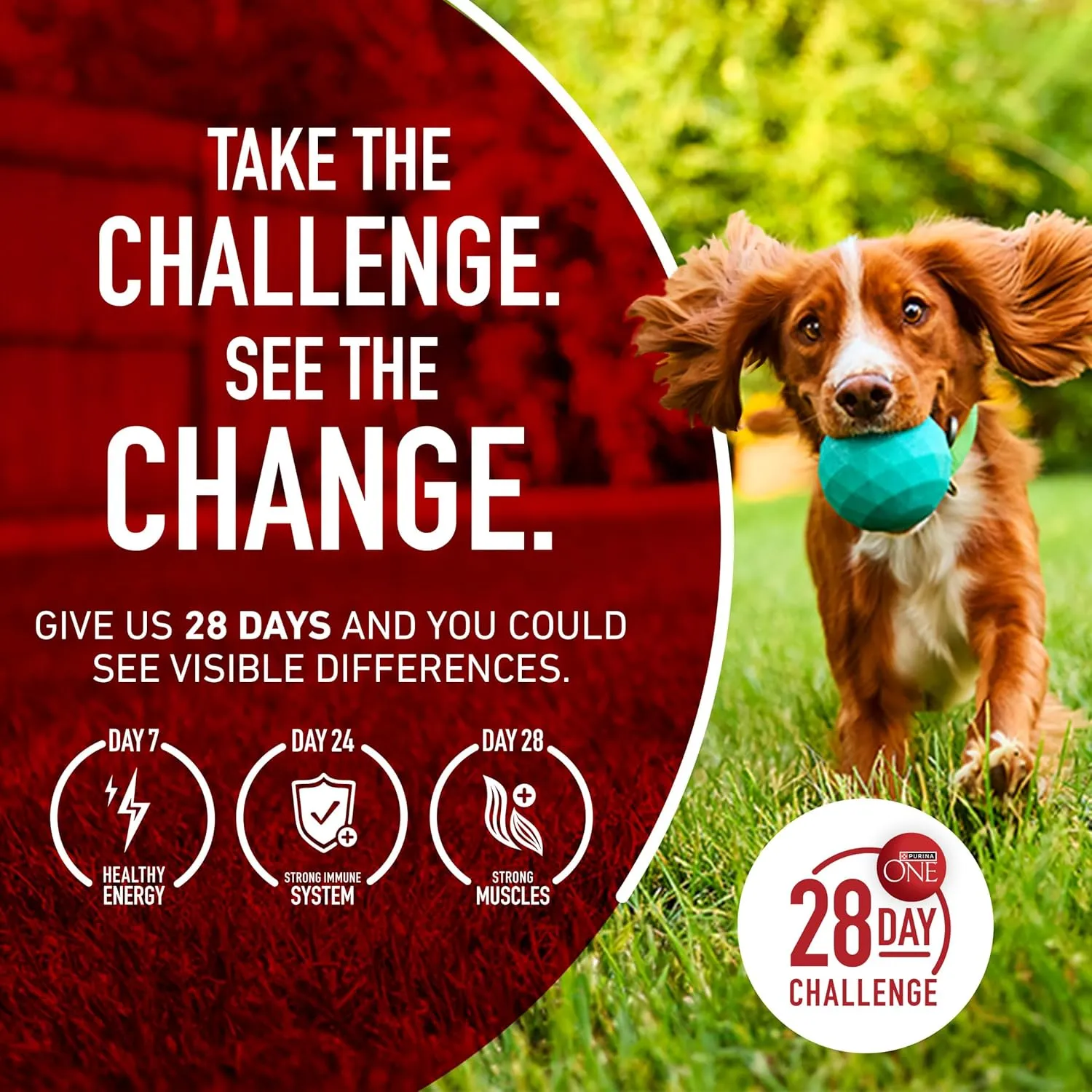 Purina ONE Grain Free Natural High Protein Dry Dog Food Formula True Instinct with Real Beef with Added Vitamins, Minerals and Nutrients - 25 lb. Bag