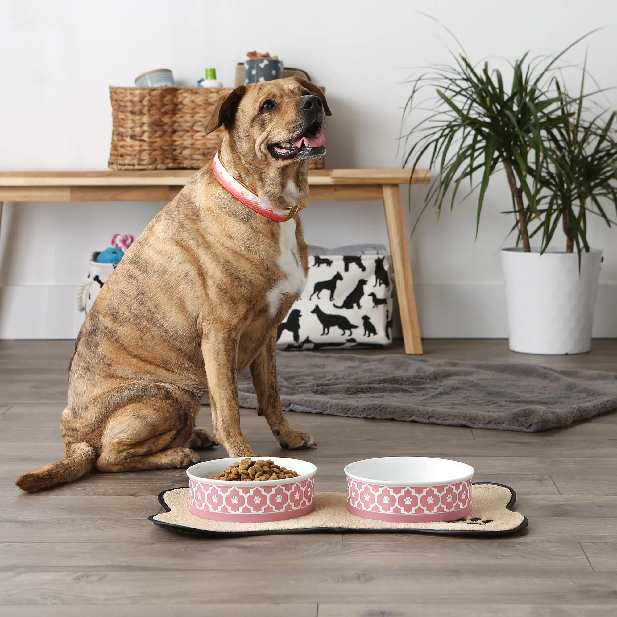 Rose Lattice Paw Print Pet Bowl Set of 2, Large 3.75 C. Capacity
