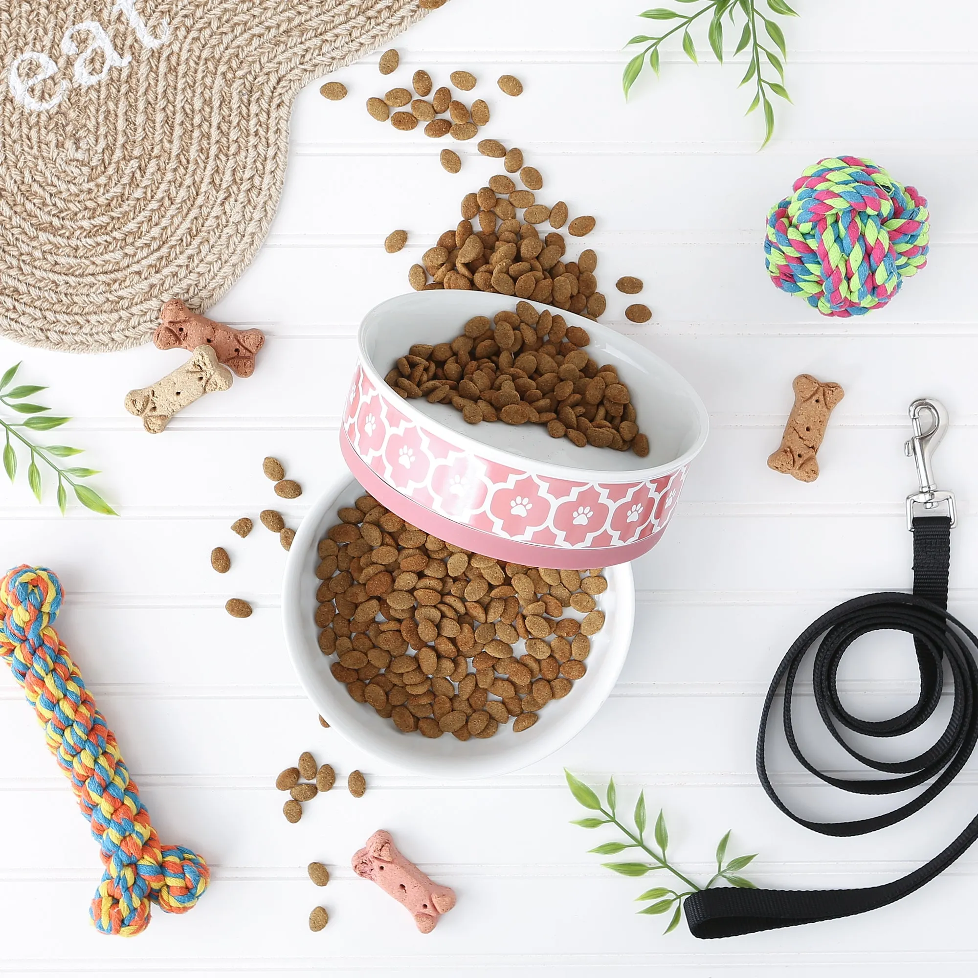 Rose Lattice Paw Print Pet Bowl Set of 2, Large 3.75 C. Capacity