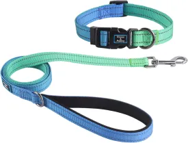 Roses&Poetry Bluegreen Medium Dog Collar and Leash Set, Puppy Reflective Leashes with Collars, Adjustable Durable Matching Collar Leash for Medium Dogs Girl (Bluegreen-M)