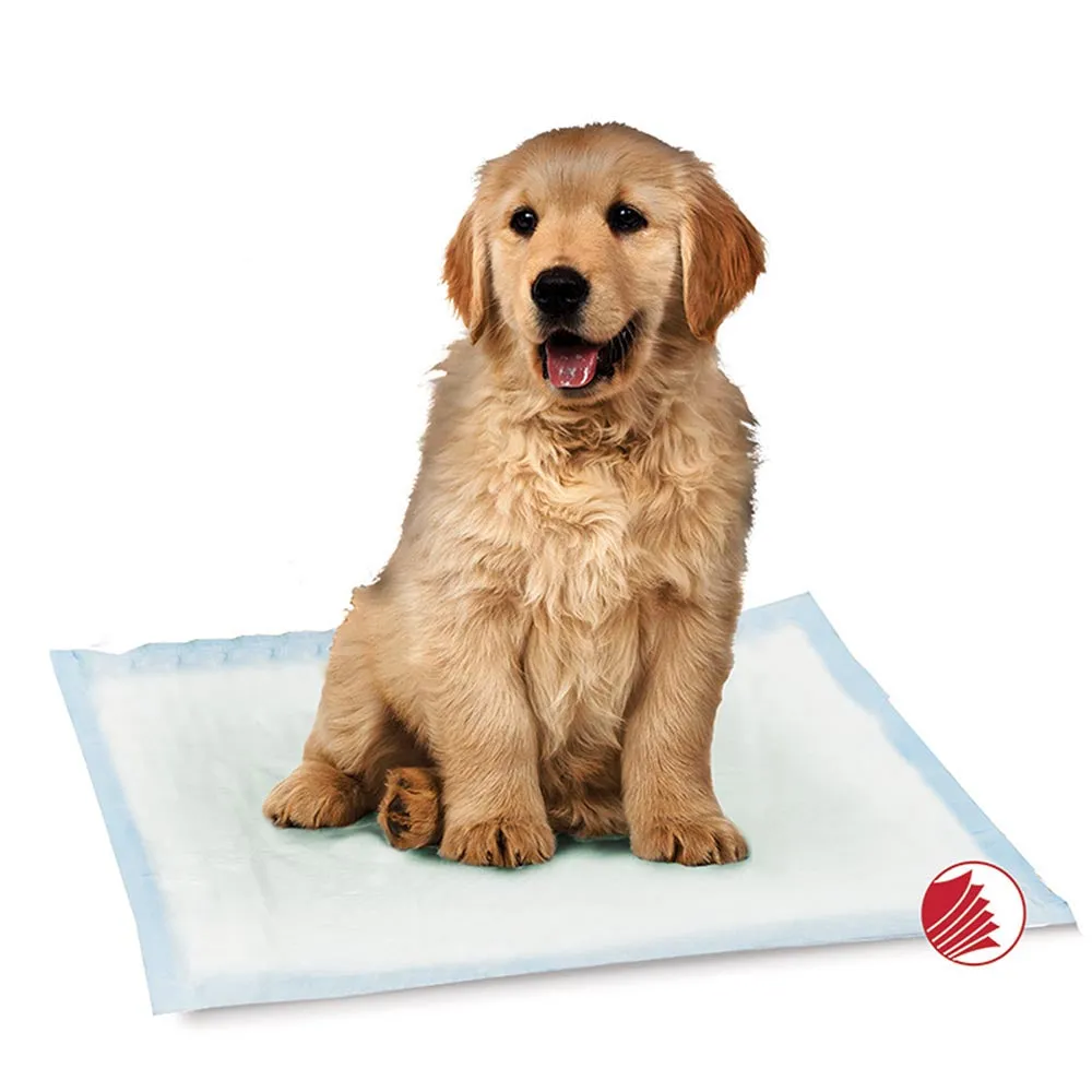 Simply Essentials Training Pads