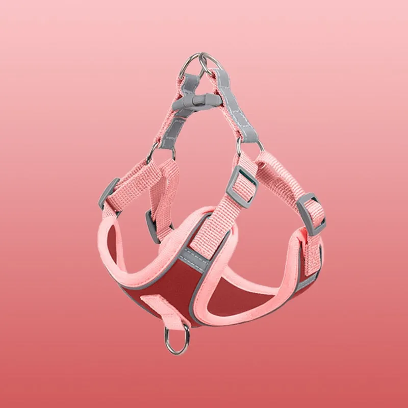 Small Dog Harness for Small Dogs - Reflective