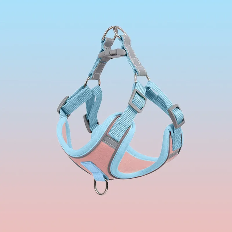 Small Dog Harness for Small Dogs - Reflective