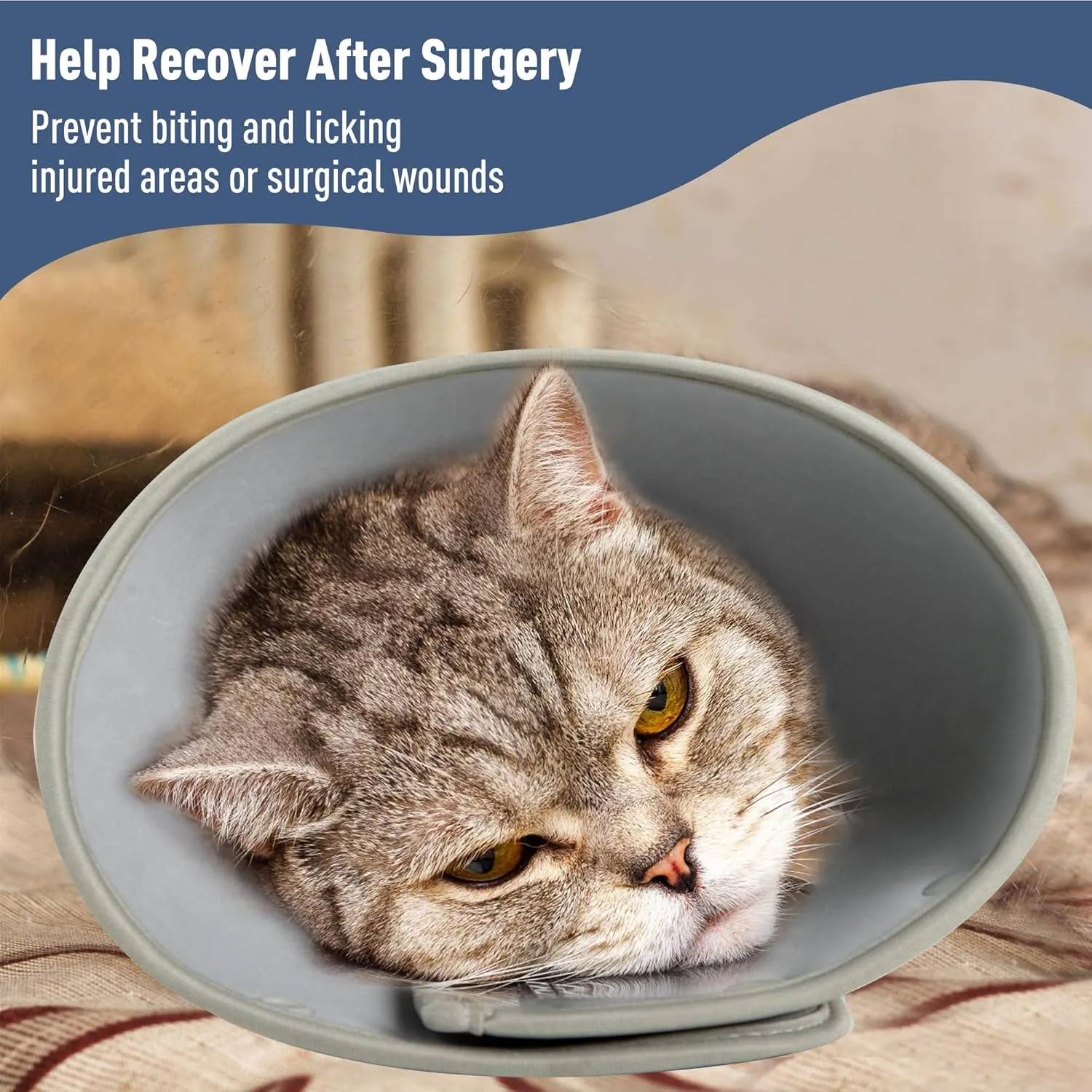 Soft Cat Cone Collar for Large Medium Small Cats After Surgery Adjustable Cat Recovery Collar After Surgery to Prevent Licking Wound, Comfortable Pet Elizabethan Collar Space Cat Medium