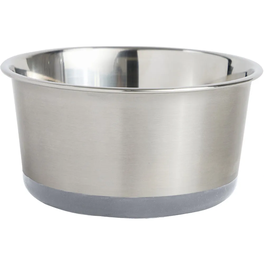 Stainless Steel Dog Bowl (Set of 2)