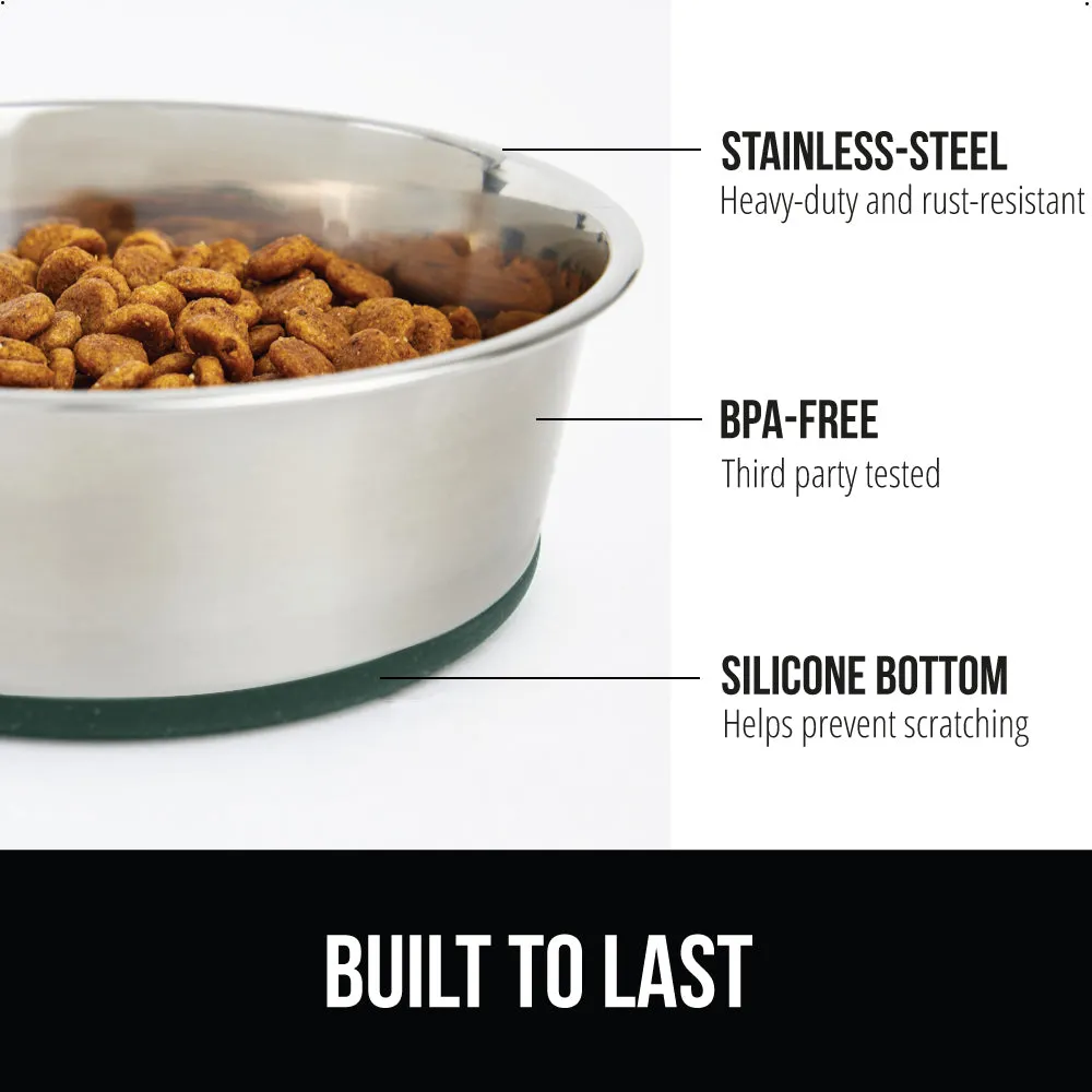 Stainless Steel Dog Bowl (Set of 2)