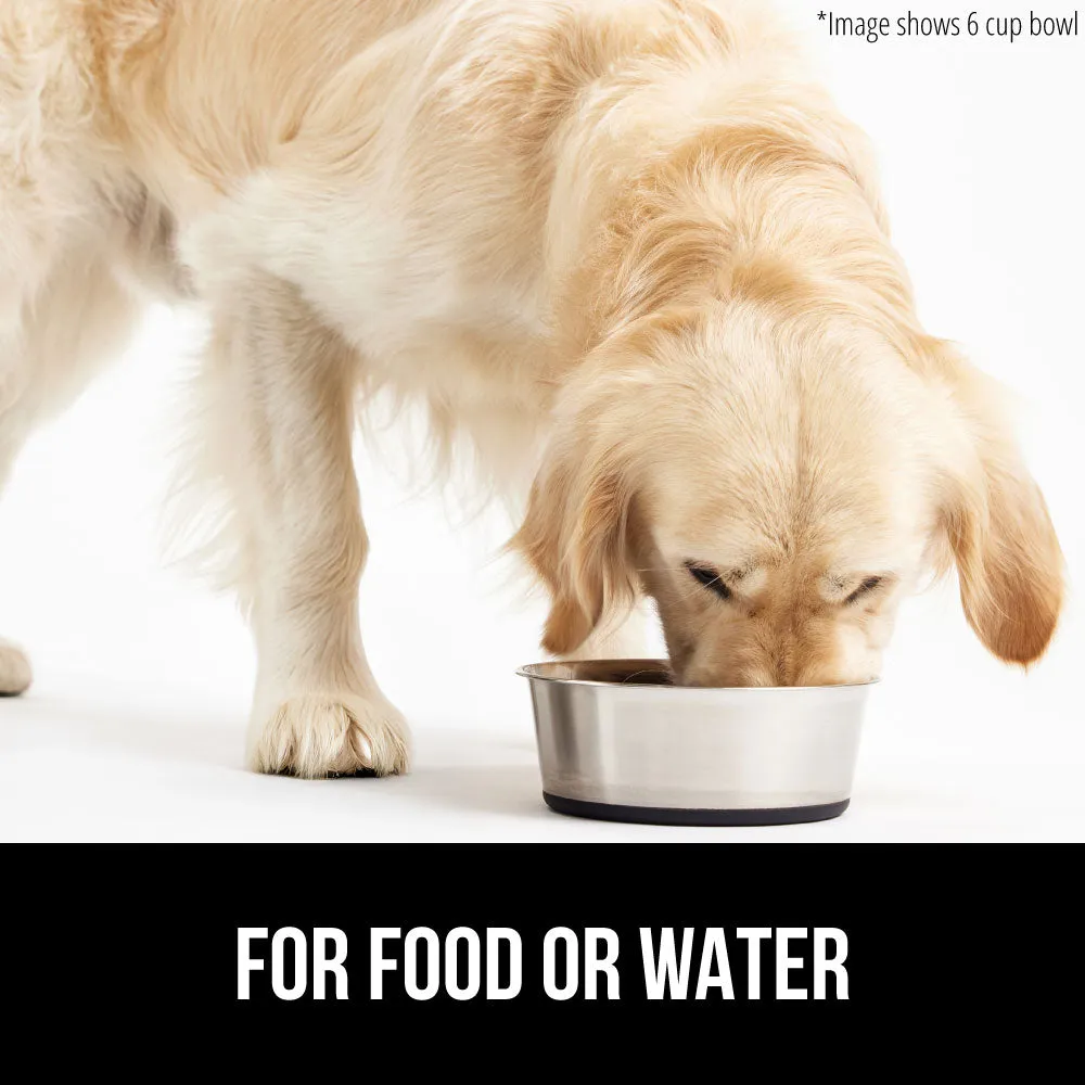 Stainless Steel Dog Bowl (Set of 2)